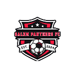 Salem Panthers FC logo
